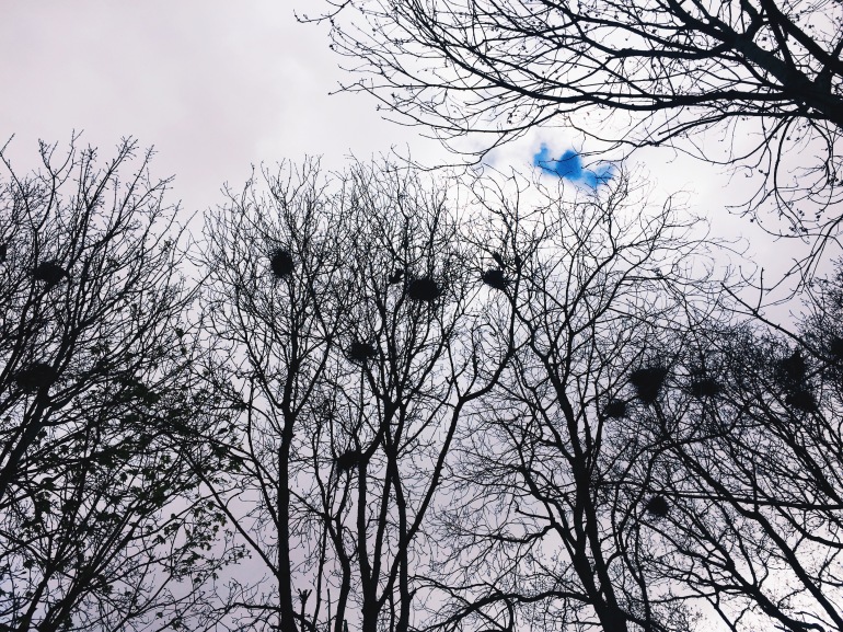 Bunratty - crow's nests