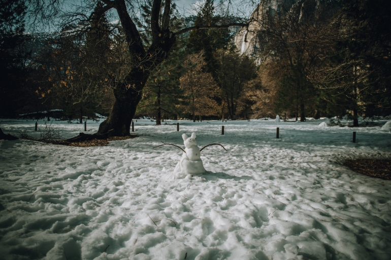 Yosemite snowman